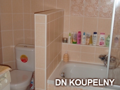 1-154-rekonstrukce-koupelny-1