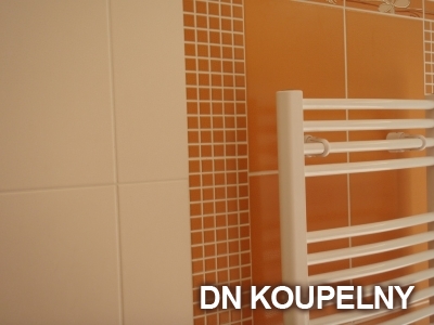 1-165-rekonstrukce-koupelny-1