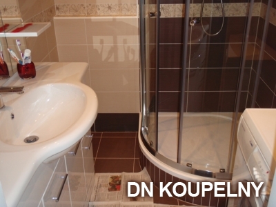 1-55-rekonstrukce-koupelny-1