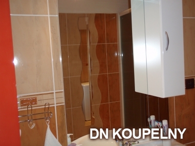 4-275-rekonstrukce-koupelny-havirov