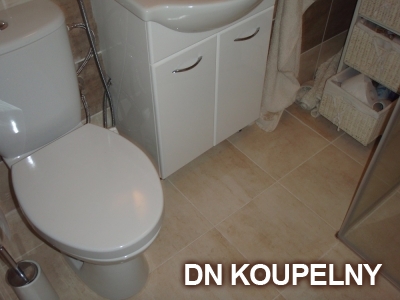 43-675-bezbarierovy-pristup-do-sprchoveho-koutu-ostrava-small.jpg
