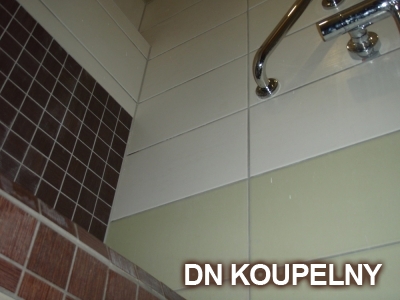 47-711-sedacka-do-sprchy-v-panelakove-koupelne-ostrava-small.jpg