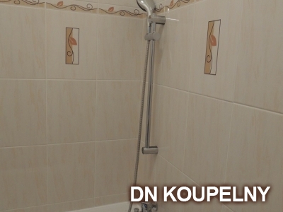 55-776-koupelna-bez-bourani-ostrava