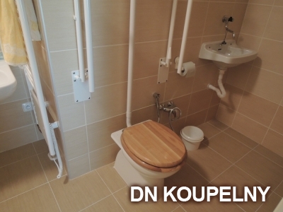 58-790-bezbarierova-koupelna-pro-vozickare-ostrava-small.jpg