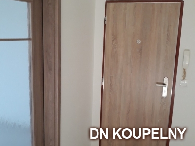 64-880-dvere-do-bytu-komplexni-rekonstrukce-bytu-ostrava-small.jpg