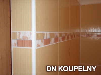 8-430-rekonstrukce-koupelny-orlova