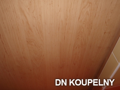 8-431-rekonstrukce-koupelny-orlova