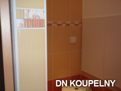 8-434-rekonstrukce-koupelny-orlova