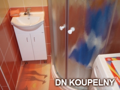 8-437-rekonstrukce-koupelny-orlova