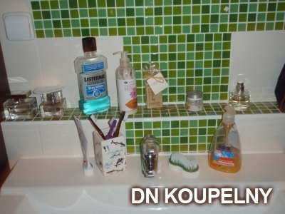 1-91-rekonstrukce-koupelny-1-small.jpg
