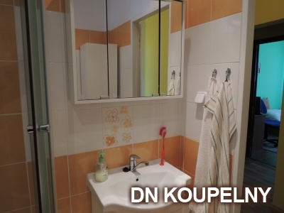 15-515-prestavba-koupelny-v-hlucine-small.jpg